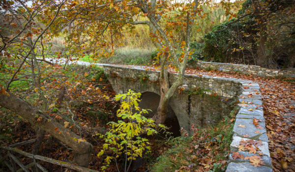 Γεφυράκι, χωριό Παλαιό Ζαπάντι. Φωτογραφία: ©Βασίλης Συκάς, για τον Δήμο Κύμης-Αλιβερίου