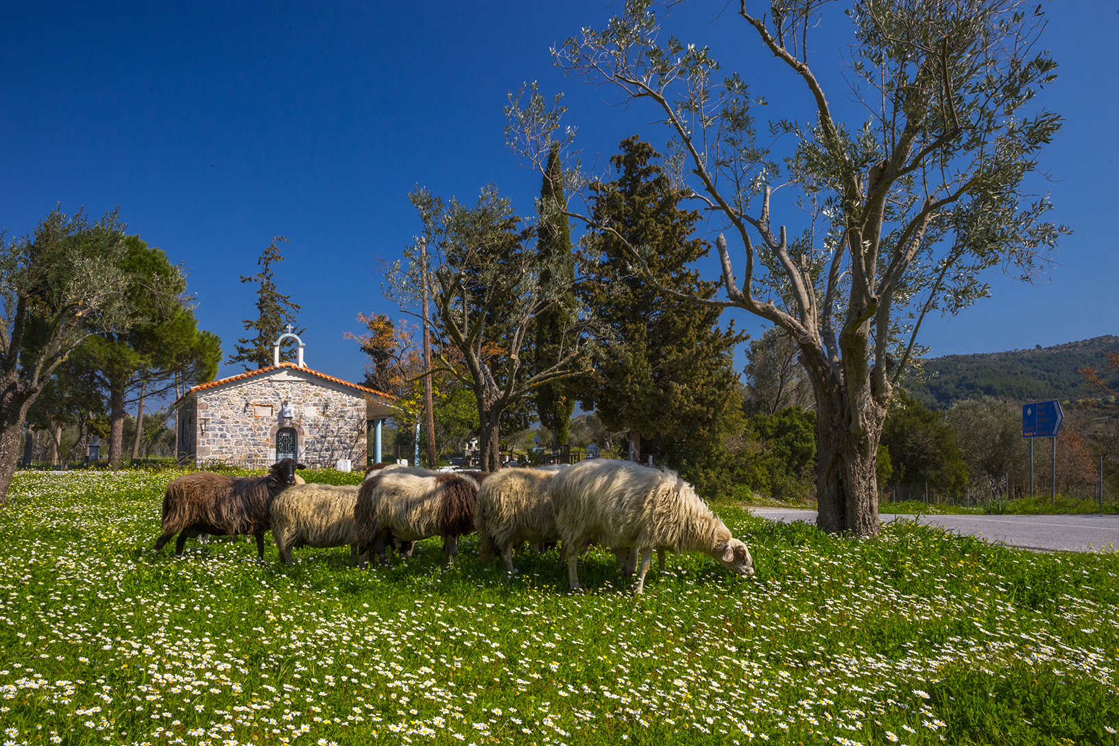 Εκκλησία Άγιος Δημήτριος, χωριό Βρύση. Φωτογραφία: ©Βασίλης Συκάς, για τον Δήμο Κύμης-Αλιβερίου