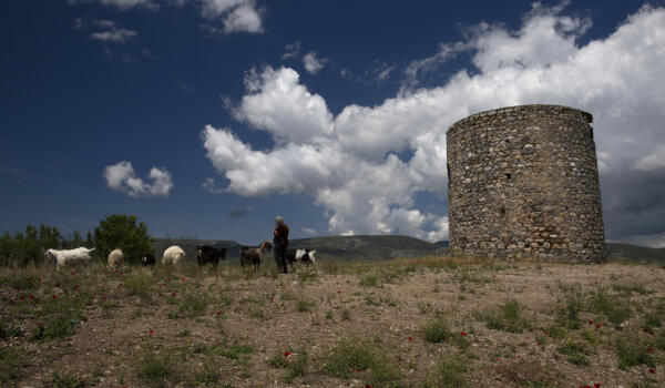 Ανεμόμυλος Κώστα Στουπή, χωριό Άγιος Λουκάς. Φωτογραφία: ©Βασίλης Συκάς, για τον Δήμο Κύμης-Αλιβερίου